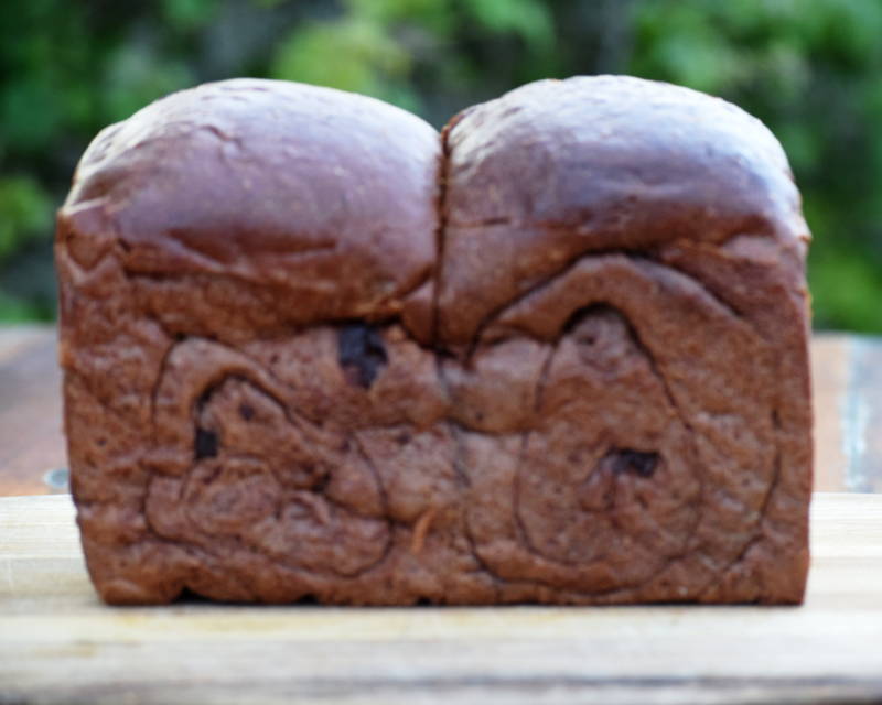 Chocolate Sourdough Loaf